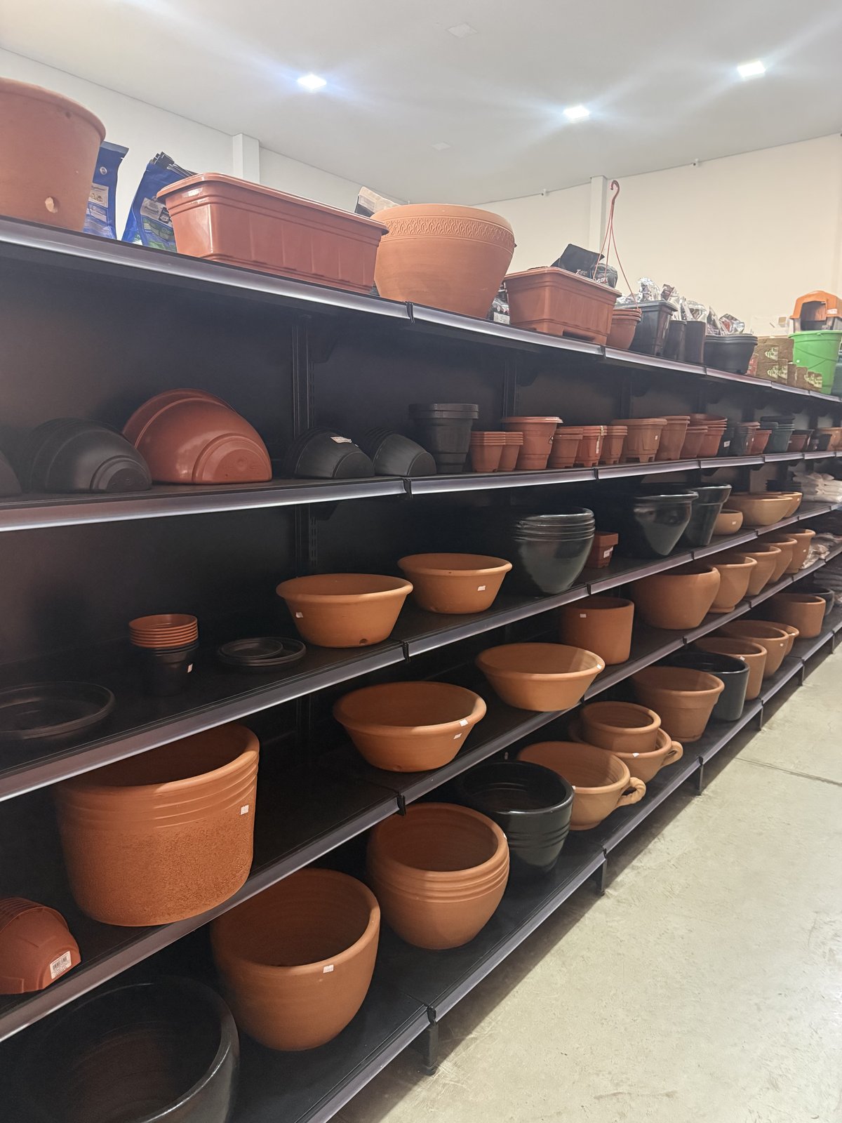 Vasos e Cachepots